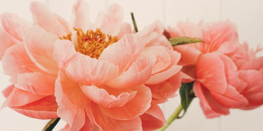 20 Best Flower Delivery Services Companies UK in 2026