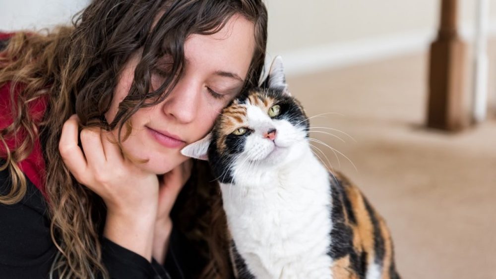 How to Cherish the Memories with your Pet | Best Agencies