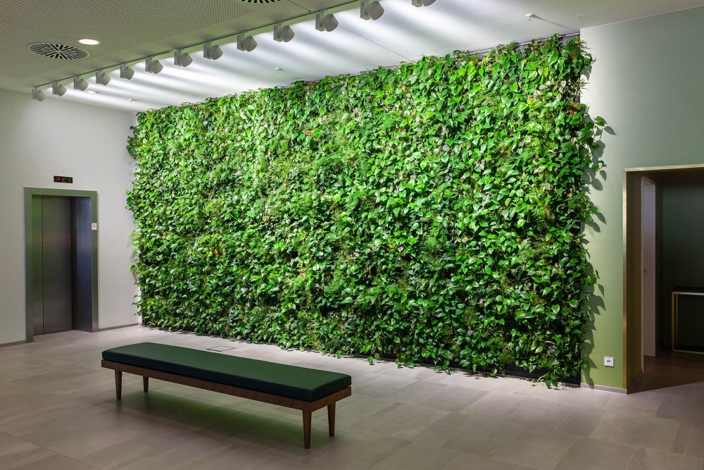 LIVING WALLS, THE BEST SOLUTION FOR COUNTERING THE POLLUTION | Best Agencies