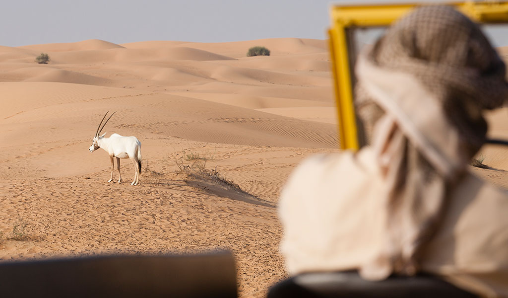 MYTHS PEOPLE HAVE ABOUT DESERT SAFARI | Best Agencies