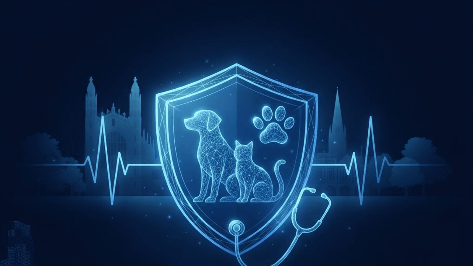 Top 10 Best Veterinary Clinics in Cambridge