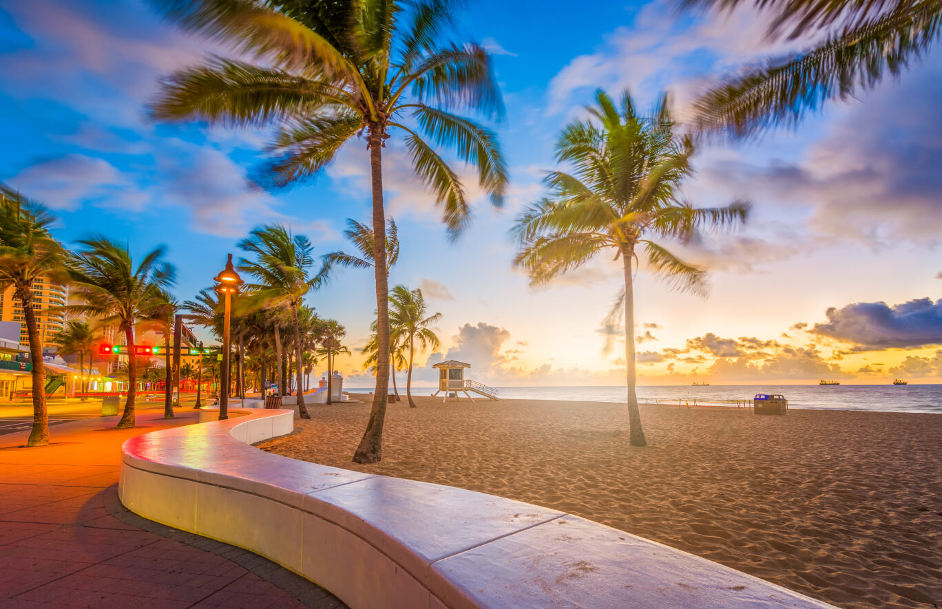 Ultimate Florida Panthers Travel Guide: Packages, Tips & Best Deals