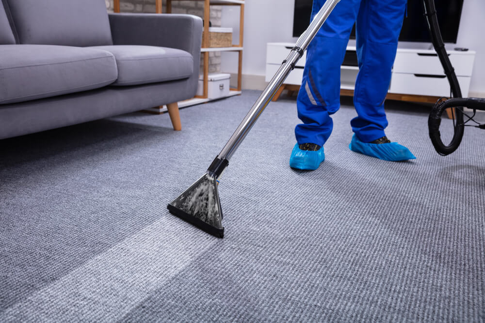 5 WAYS TO CLEAN YOUR CARPET | Best Agencies