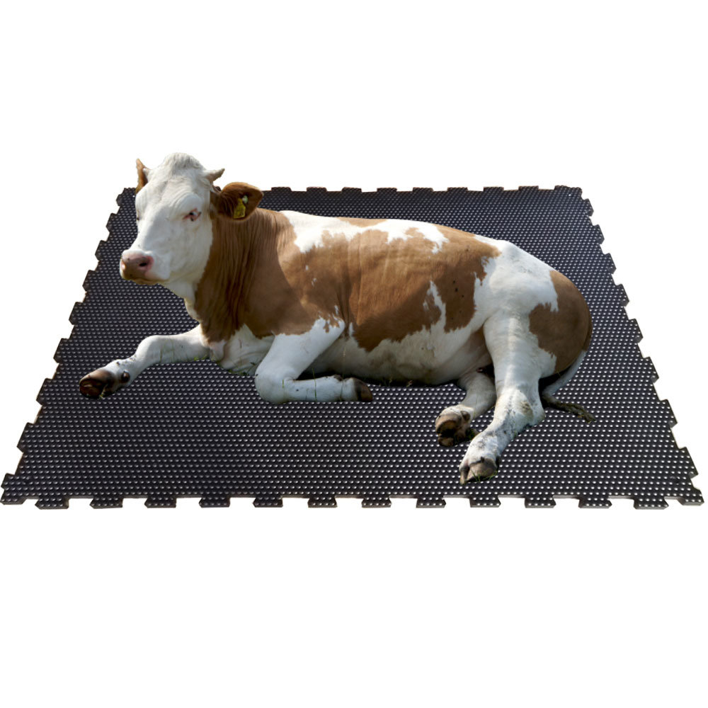 WHAT IS MATTING? | Best Agencies